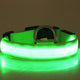 VIROLY Dog LED Luminous Collar