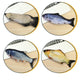 VIROLY Cat Toy Simulation Electric Fish