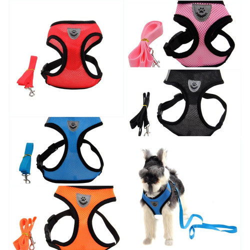 VIROLY Dog Harness
